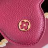 Louis Vuitton Capucines BB Handbag