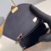 Louis Vuitton Pico Tilsitt Bag