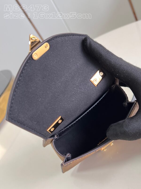Louis Vuitton Pico Tilsitt Bag
