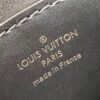 Louis Vuitton Pico Tilsitt Bag