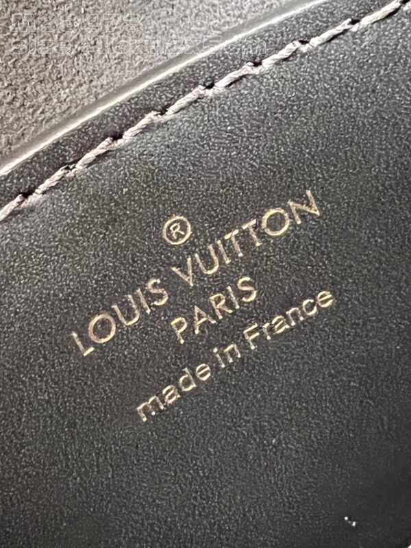 Louis Vuitton Pico Tilsitt Bag
