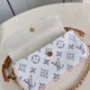 Louis Vuitton Wallet on Chain Ivy