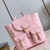 Louis Vuitton Backup