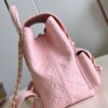 Louis Vuitton Backup