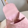 Louis Vuitton Backup