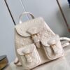 Louis Vuitton Backup