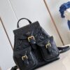 Louis Vuitton Backup