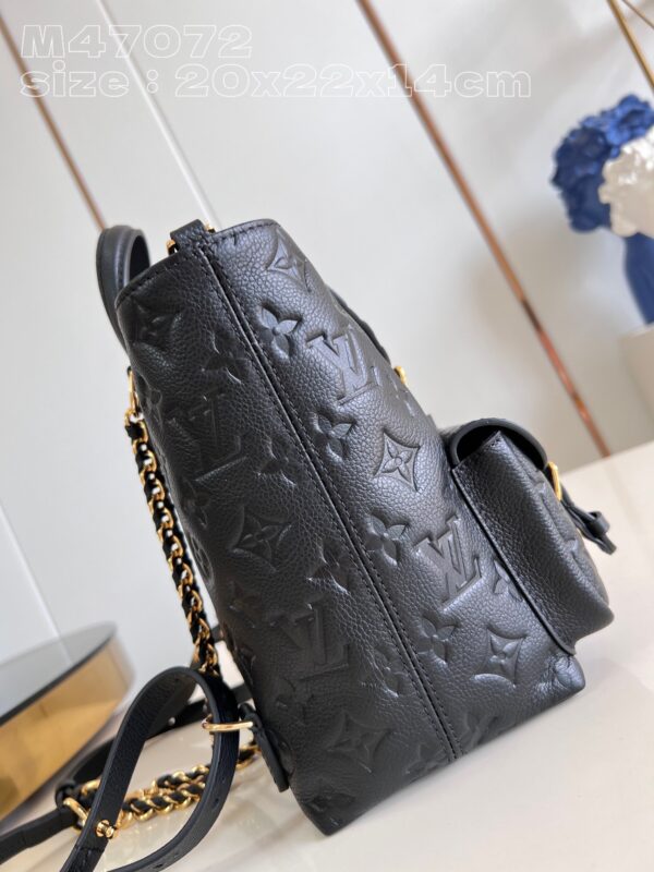 Louis Vuitton Backup