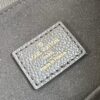 Louis Vuitton Backup