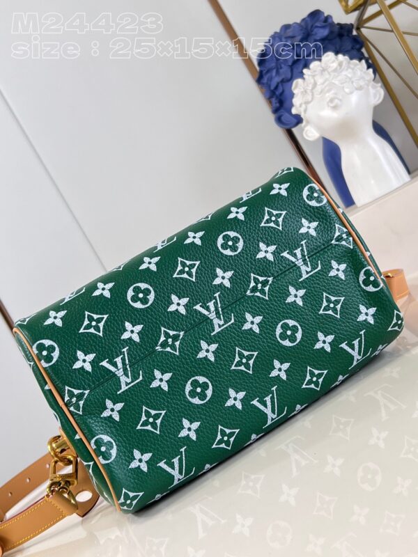 Louis Vuitton Speedy P9 Bandoulière 25