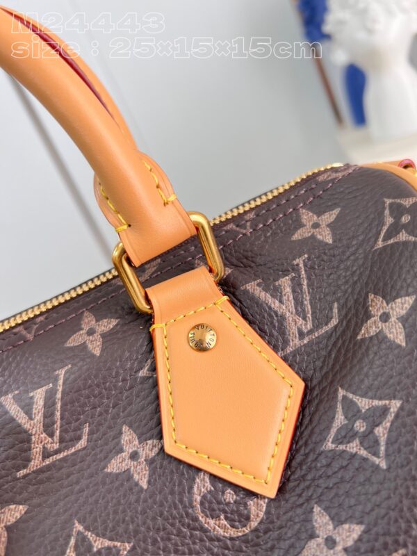 Louis Vuitton Speedy P9 Bandoulière 25