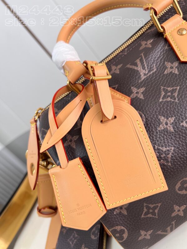 Louis Vuitton Speedy P9 Bandoulière 25