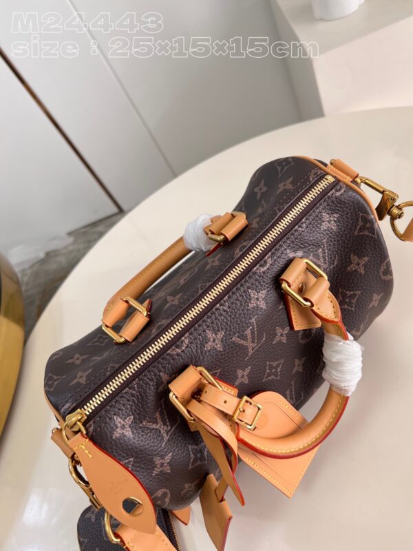 Louis Vuitton Speedy P9 Bandoulière 25