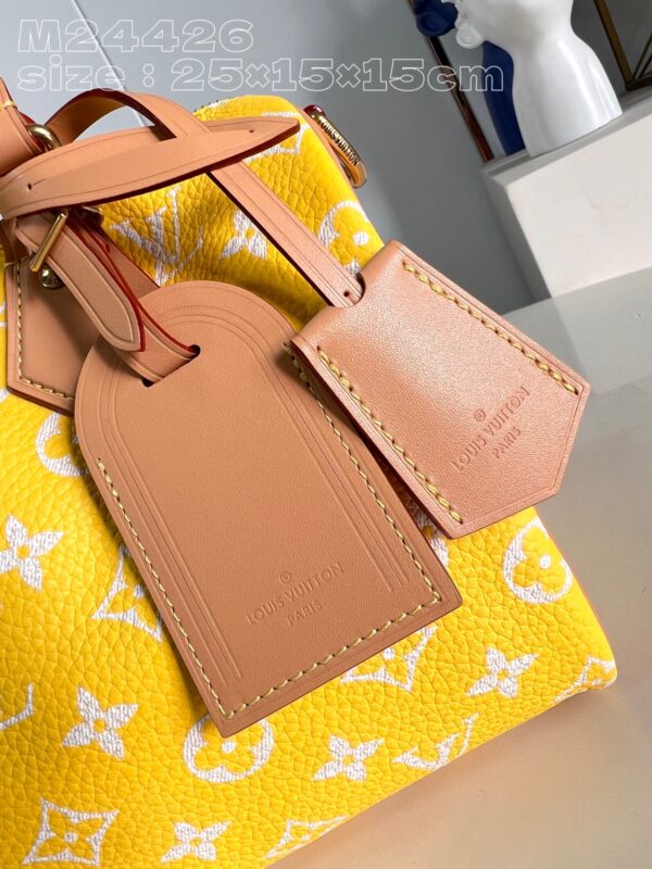 Louis Vuitton Speedy P9 Bandoulière 25