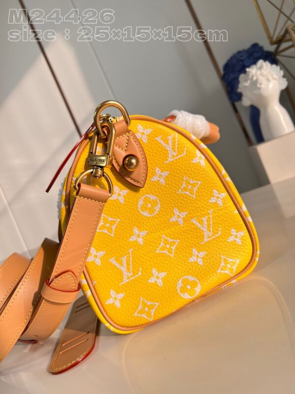 Louis Vuitton Speedy P9 Bandoulière 25