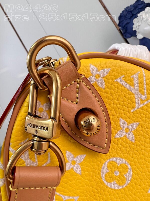 Louis Vuitton Speedy P9 Bandoulière 25