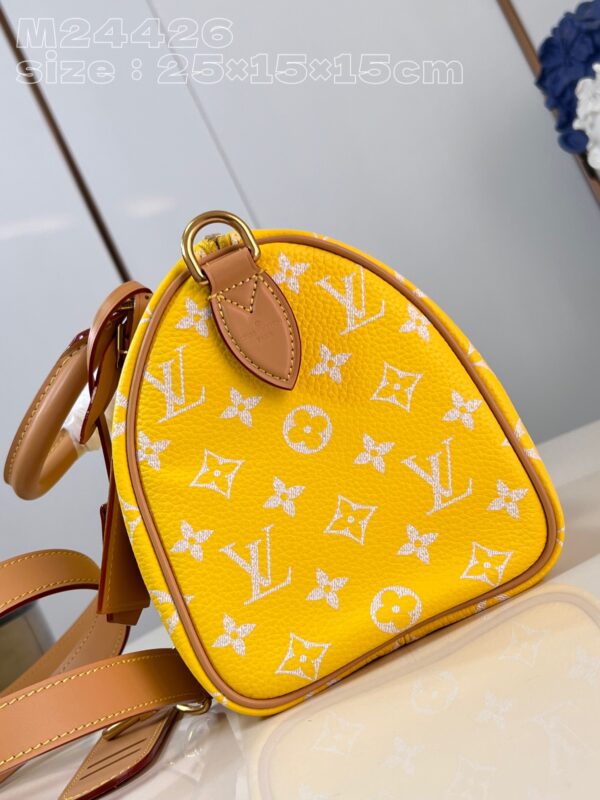 Louis Vuitton Speedy P9 Bandoulière 25