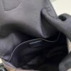 Louis Vuitton Montsouris Small Bag