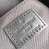 Louis Vuitton Montsouris Small Bag