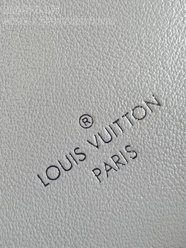 Louis Vuitton Slim Trunk Handbag