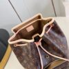 Louis Vuitton Montsouris PM Backpack
