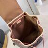 Louis Vuitton Montsouris PM Backpack