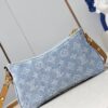 Louis Vuitton Liv Pochette