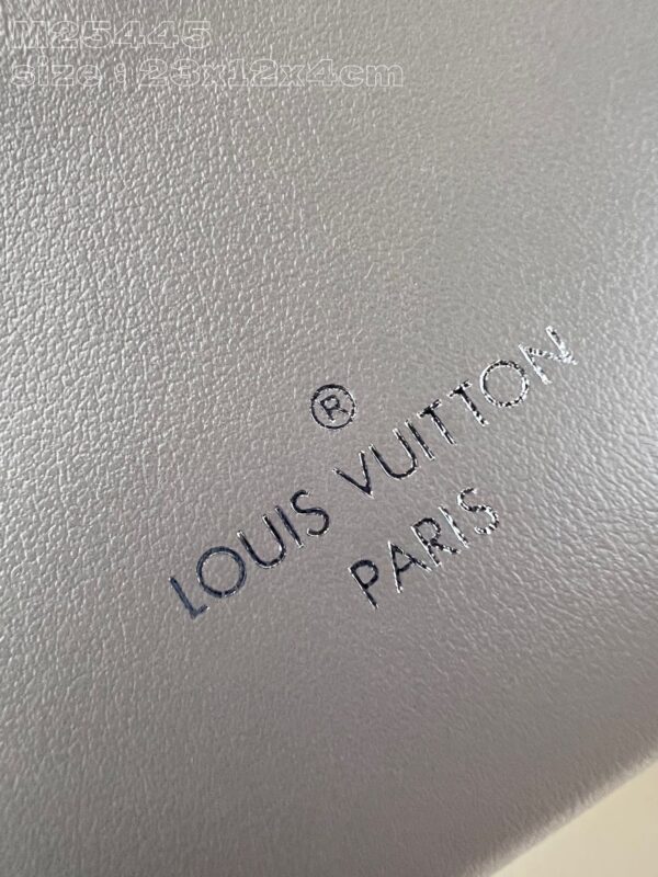 Louis Vuitton Slim Trunk Handbag