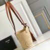 CELINE CELINE CLASSIC PANIER SMALL BRAIDED TRIOMPHE IN RAFFIA AND CALFSKIN TAN