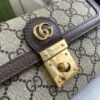Gucci OPHIDIA MINI BAG