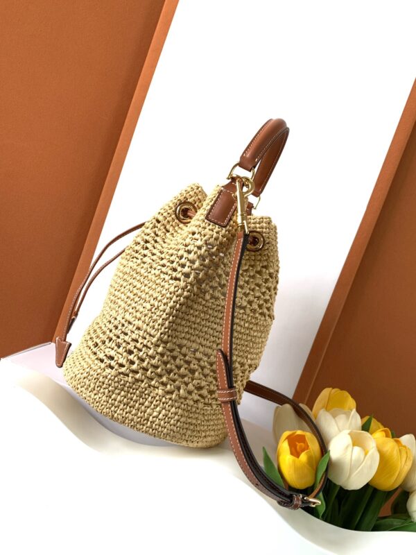 CELINE CLARA BAG IN TRIOMPHE