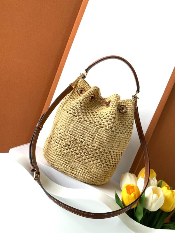 CELINE CLARA BAG IN TRIOMPHE