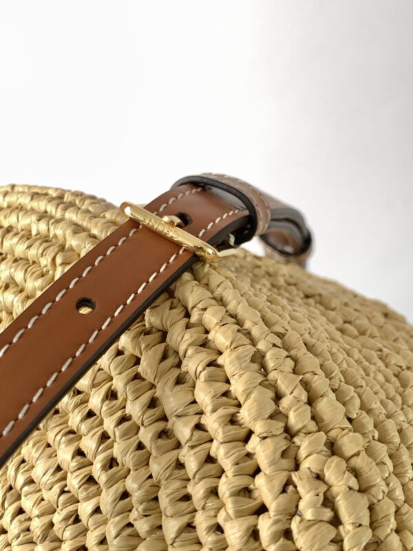 CELINE CLARA BAG IN TRIOMPHE