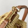 CELINE CLARA BAG IN TRIOMPHE