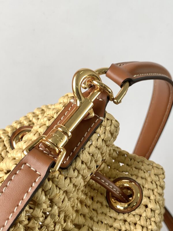 CELINE CLARA BAG IN TRIOMPHE