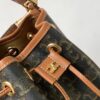 CELINE CLARA BAG IN TRIOMPHE