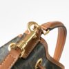 CELINE CLARA BAG IN TRIOMPHE