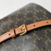 CELINE CLARA BAG IN TRIOMPHE
