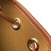 CELINE CLARA BAG IN TRIOMPHE