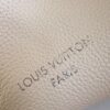 Louis Vuitton Low Key Hobo PM