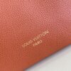 Louis Vuitton Low Key Hobo PM
