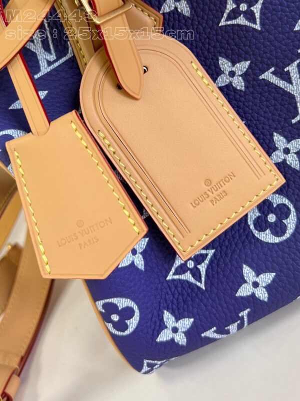 Louis Vuitton Speedy P9 Bandoulière 25
