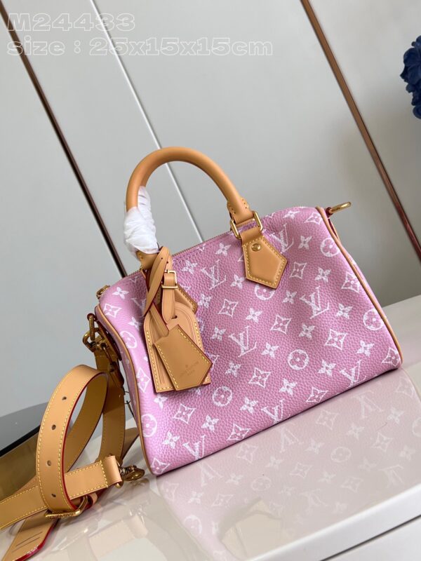 Louis Vuitton Speedy P9 Bandoulière 25