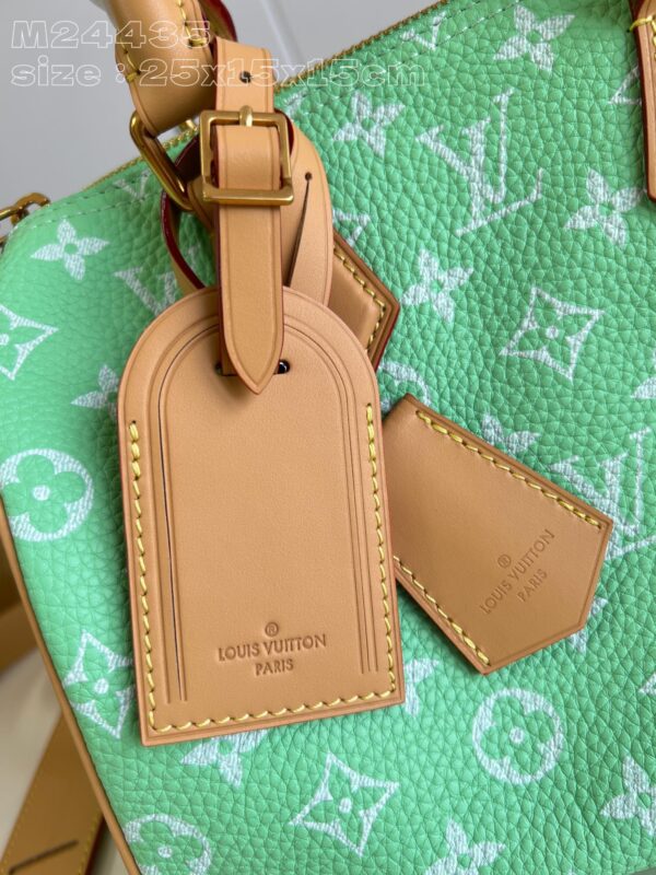 Louis Vuitton Speedy P9 Bandoulière 25