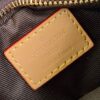 Louis Vuitton Dog On Strap