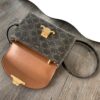 Celine TEEN NINO BAG IN TRIOMPHE