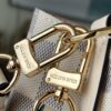 Louis Vuitton NéoNoé BB Damier Azur