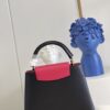 Louis Vuitton Capucines Hand Bag