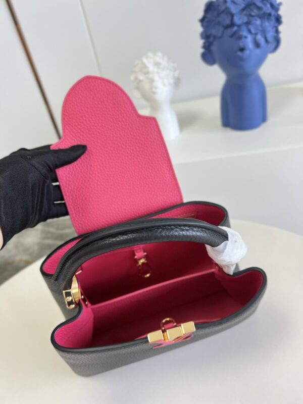 Louis Vuitton Capucines Hand Bag