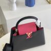 Louis Vuitton Capucines Hand Bag
